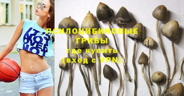 PSILOCYBIN Верхний Тагил